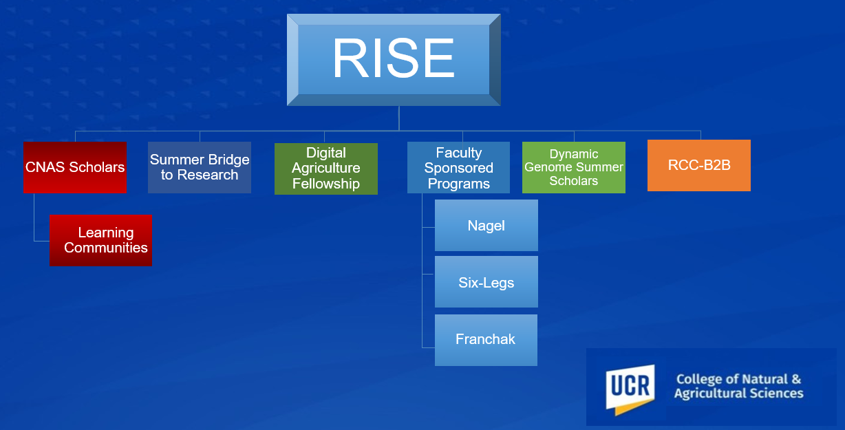 RISE Programming Research in Science & Engineering (RISE)
