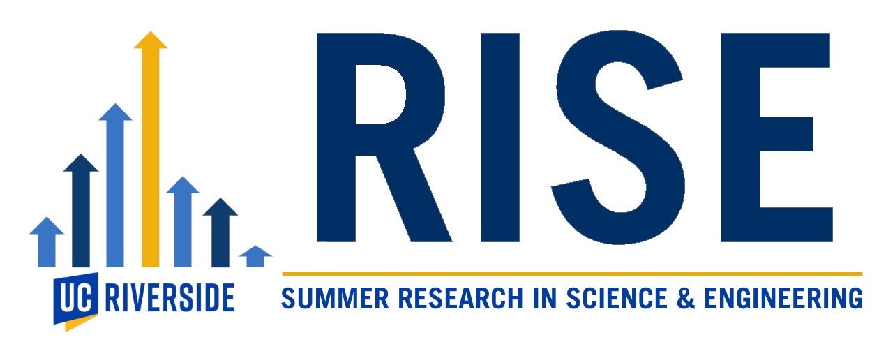 RISE logo cropped