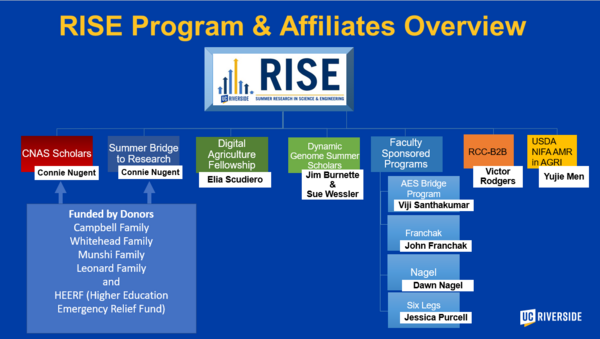 research in science & engineering (rise)