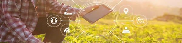 holding a tablet in a field