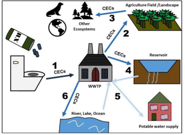 CEC pic - Gachomo Lab