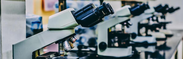 lab microscopes (c) unsplash